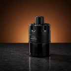 The Most Wanted Eau de Toilette Intense for Men - Azzaro (sku 578)