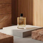 Terre d’Hermès Eau de Toilette for Men - Hermès (sku 572)